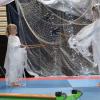 Spactacle Juin 2015 (149)