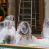 Spactacle Juin 2015 (32)