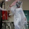 Spactacle Juin 2015 (58)