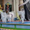 Spactacle Juin 2015 (68)
