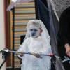 Spactacle Juin 2015 (79)