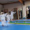 Spactacle Juin 2015 (89)